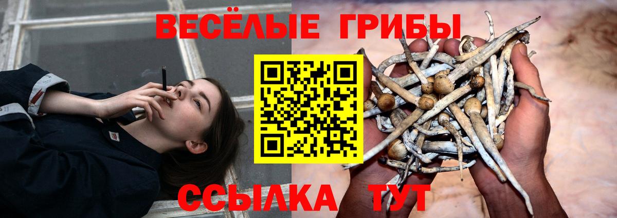Галлюциногенные грибы MAGIC MUSHROOMS  Вход с VPN  Галлюциногенные грибы мухоморы  Торжок 