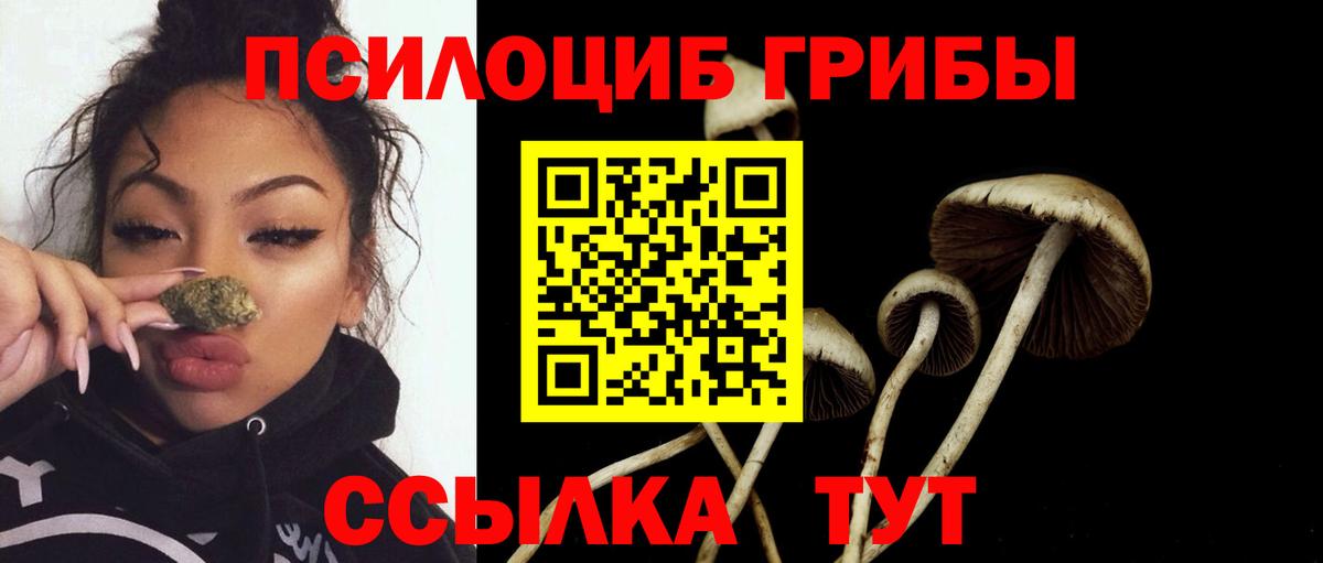 Псилоцибиновые грибы мицелий Торжок
